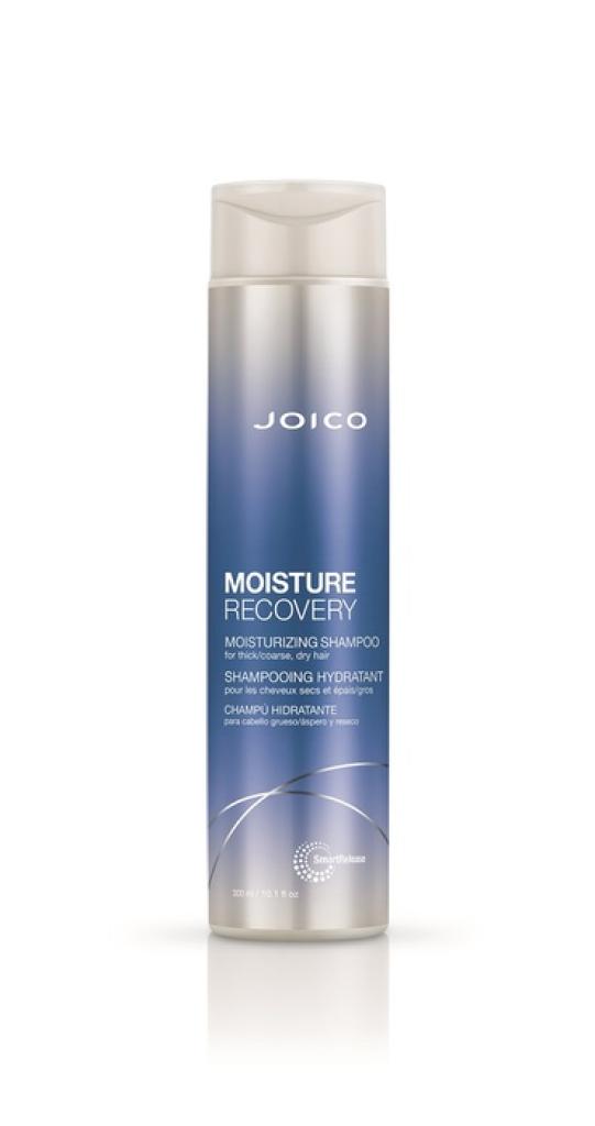 300ml Joico Moisture Recovery Shampoo