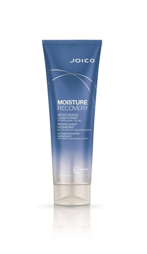 250ml Joico Moisture Recovery Conditioner