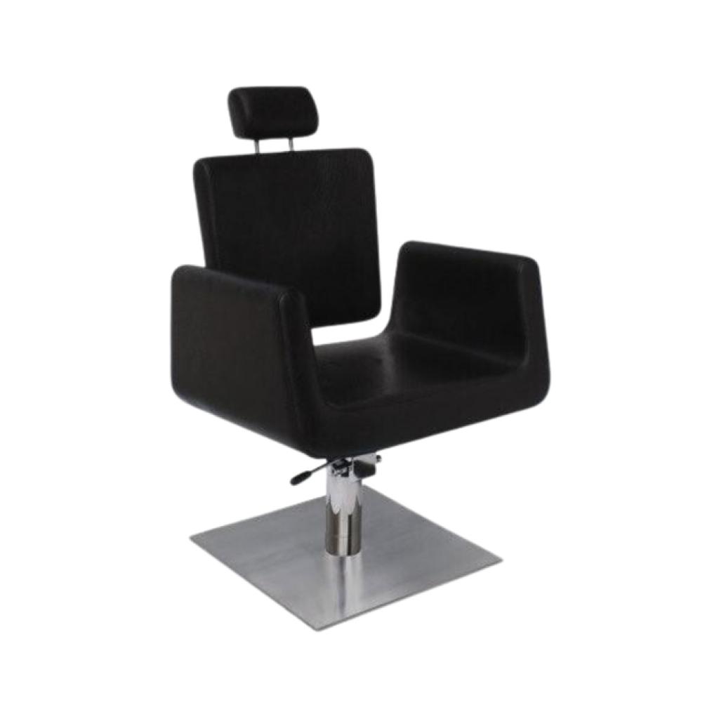Astyn Styling/Recliner Chair Hydraulic Lift
