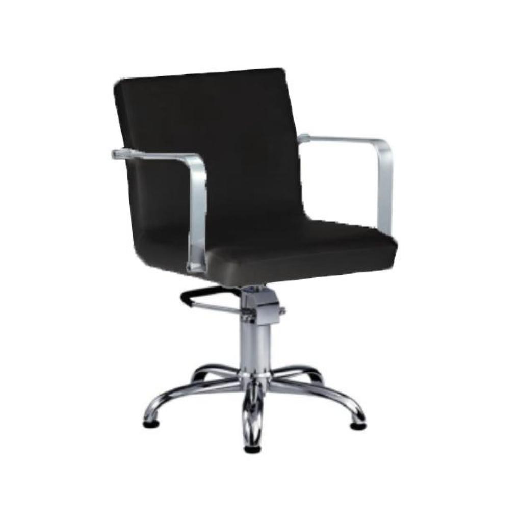 Taylor Styling Chair Hydraulic Lift 